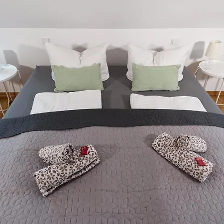 Apartment Bohnapartments Altstadt-loft - 85 Qm Mit Wasserbett Erfurt