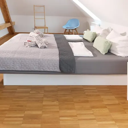 Bohnapartments Altstadt-loft - 85 Qm Mit Wasserbett Apartment