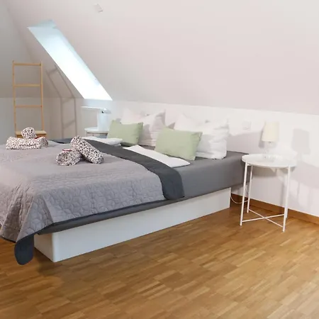 Bohnapartments Altstadt-loft - Wasserbett - Gratis Parkplatz - Wlan - Zentrum